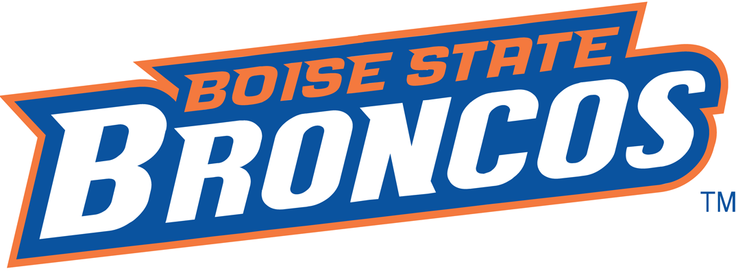 Boise State Broncos 2002-2012 Wordmark Logo diy DTF decal sticker